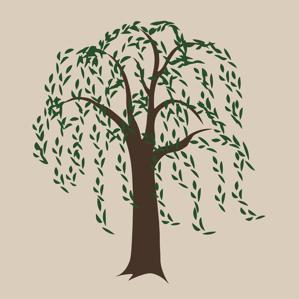 Piletræet – Lund